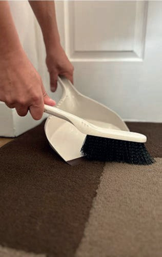 Stiff Bristle Dustpan & Brush