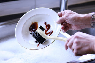 Dish Brush